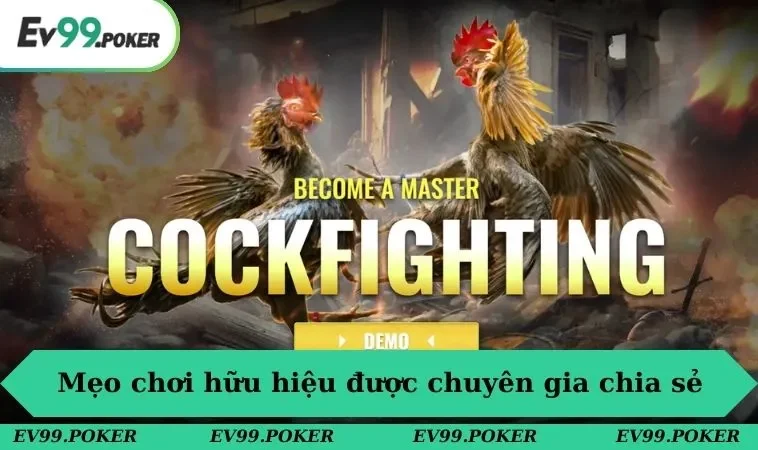 Chia sẻ những mẹo chơi hữu hiệu được chuyên gia chia sẻ