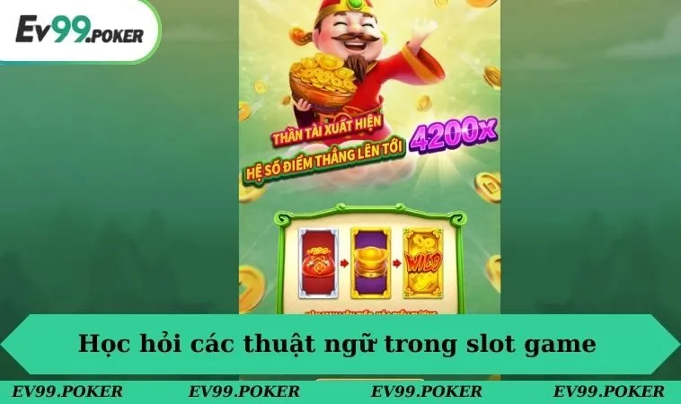Học hỏi các thuật ngữ và chức năng của chúng