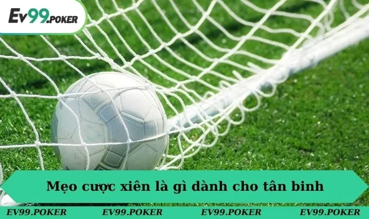 Mẹo cược xiên là gì dành cho tân binh
